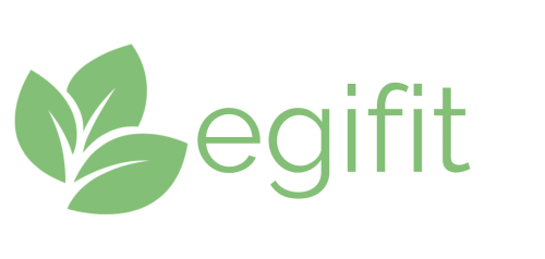 EGIFIT