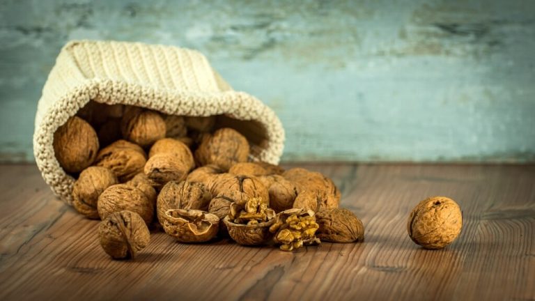 Nueces: beneficios para tu salud, ventajas para perder peso y mucho más