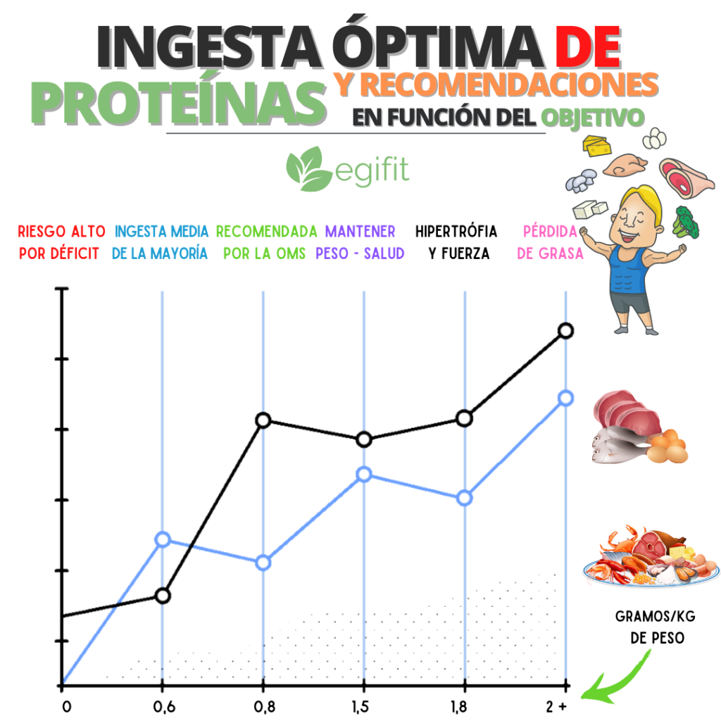 ingesta óptima de proteína