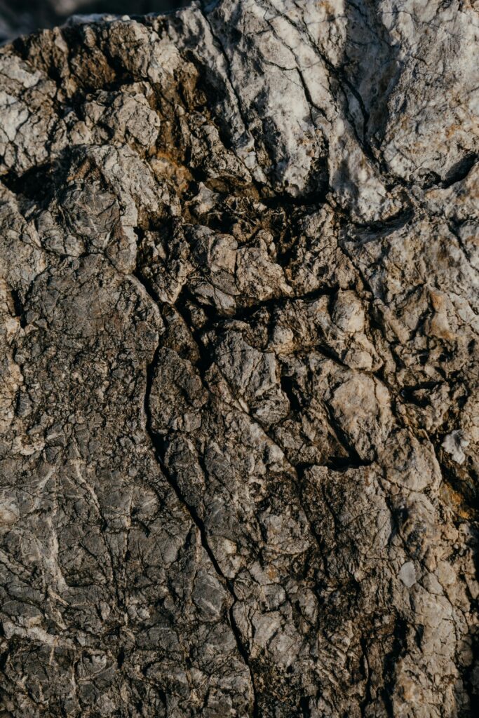 Detailed close-up of a rocky textured surface showcasing natural stone formations.